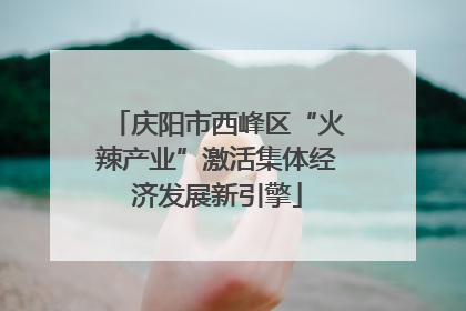 庆阳市西峰区“火辣产业”激活集体经济发展新引擎