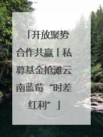 开放聚势 合作共赢丨私募基金抢滩云南蓝莓“时差红利”