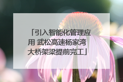 引入智能化管理应用 武松高速杨家湾大桥架梁提前完工