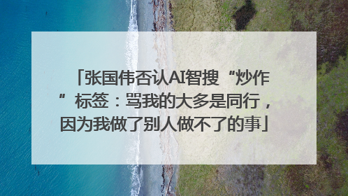 张国伟否认AI智搜“炒作”标签：骂我的大多是同行，因为我做了别人做不了的事