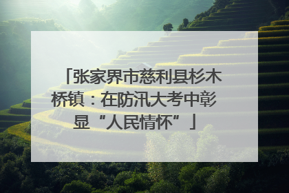 张家界市慈利县杉木桥镇：在防汛大考中彰显“人民情怀”