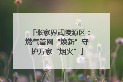 张家界武陵源区：燃气管网“焕新”守护万家“烟火”