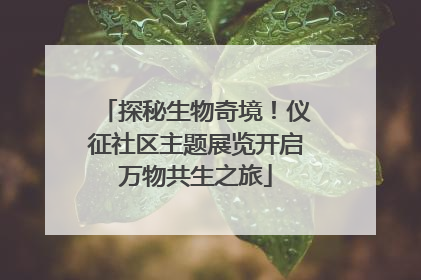 探秘生物奇境！仪征社区主题展览开启万物共生之旅