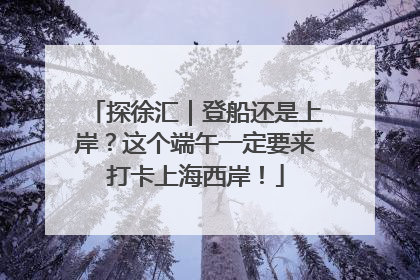 探徐汇｜登船还是上岸？这个端午一定要来打卡上海西岸！