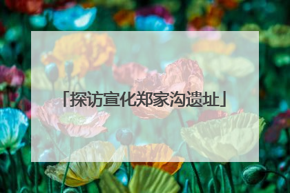 探访宣化郑家沟遗址