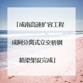 成南高速扩容工程成阿分离式立交桥钢箱梁架设完成
