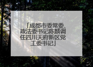 成都市委常委、政法委书记陈麟调任四川天府新区党工委书记