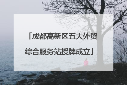 成都高新区五大外贸综合服务站授牌成立