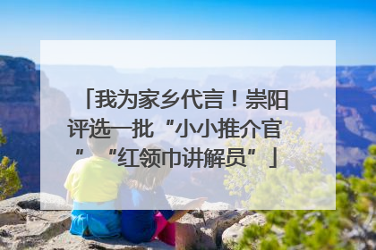 我为家乡代言！崇阳评选一批“小小推介官”“红领巾讲解员”