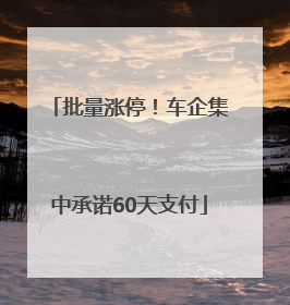 批量涨停！车企集中承诺60天支付