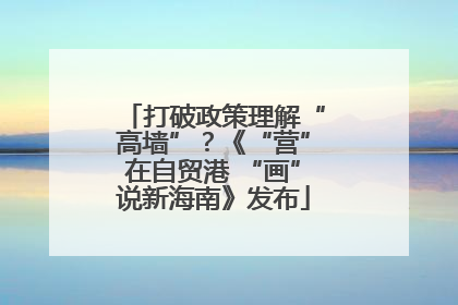 打破政策理解“高墙”？《“营”在自贸港 “画”说新海南》发布