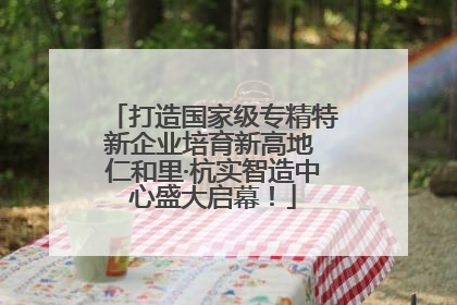 打造国家级专精特新企业培育新高地 仁和里·杭实智造中心盛大启幕！