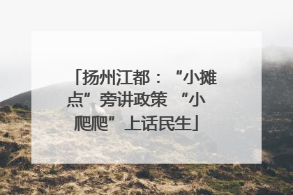 扬州江都：“小摊点”旁讲政策 “小爬爬”上话民生