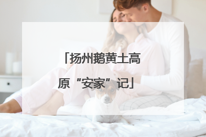 扬州鹅黄土高原“安家”记