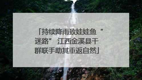 持续降雨致娃娃鱼“迷路” 江西金溪县干群联手助其重返自然