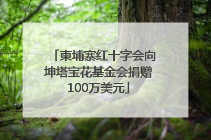 柬埔寨红十字会向坤塔宝花基金会捐赠100万美元