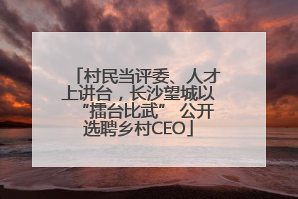 村民当评委、人才上讲台，长沙望城以“擂台比武” 公开选聘乡村CEO