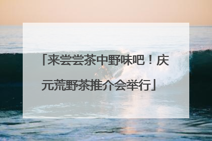 来尝尝茶中野味吧！庆元荒野茶推介会举行