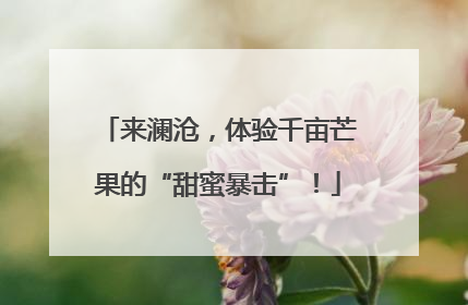 来澜沧，体验千亩芒果的“甜蜜暴击”！