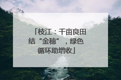 枝江：千亩良田结“金穗”，绿色循环助增收