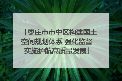 枣庄市市中区构建国土空间规划体系 强化监督实施护航高质量发展
