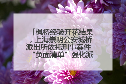 枫桥经验开花结果，上海崇明公安城桥派出所依托刑事案件“负面清单”强化派出所“主防”