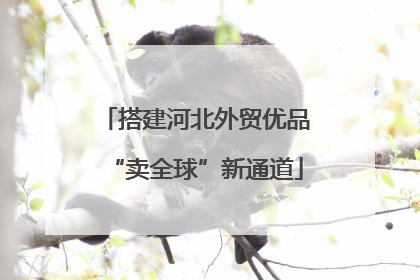 搭建河北外贸优品“卖全球”新通道