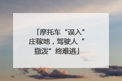 摩托车“误入”庄稼地，驾驶人“撒泼”终难逃
