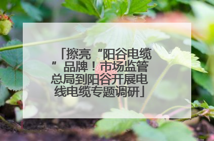擦亮“阳谷电缆”品牌！市场监管总局到阳谷开展电线电缆专题调研