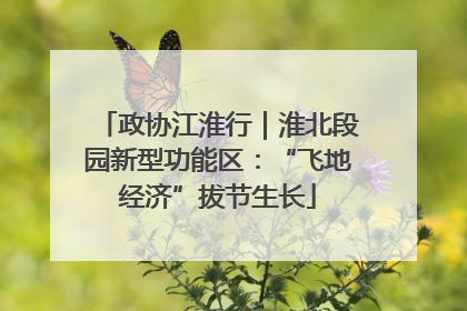 政协江淮行｜淮北段园新型功能区：“飞地经济”拔节生长