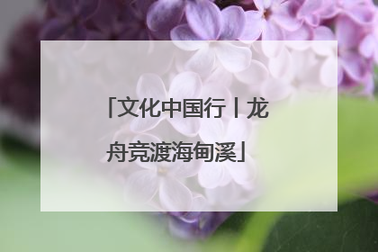 文化中国行丨龙舟竞渡海甸溪