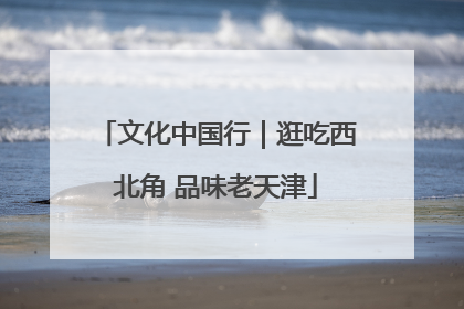 文化中国行｜逛吃西北角 品味老天津