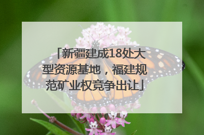 新疆建成18处大型资源基地，福建规范矿业权竞争出让