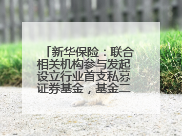 新华保险：联合相关机构参与发起设立行业首支私募证券基金，基金二期200亿元已募集完毕