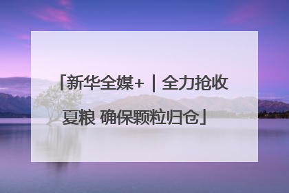 新华全媒+｜全力抢收夏粮 确保颗粒归仓