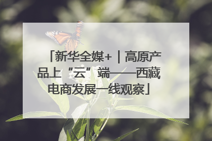 新华全媒+｜高原产品上“云”端——西藏电商发展一线观察