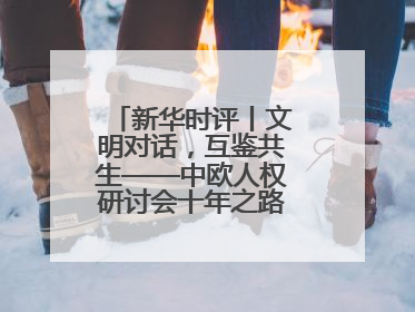 新华时评丨文明对话，互鉴共生——中欧人权研讨会十年之路的深刻启示