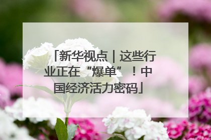 新华视点｜这些行业正在“爆单”！中国经济活力密码