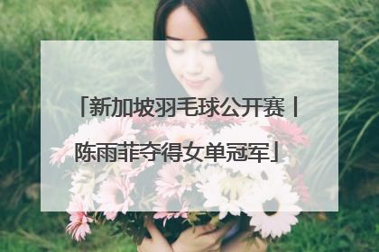 新加坡羽毛球公开赛丨陈雨菲夺得女单冠军