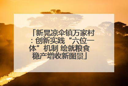 新晃凉伞镇万家村：创新实践“六位一体”机制 绘就粮食稳产增收新图景