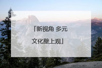 新视角 多元文化壁上观