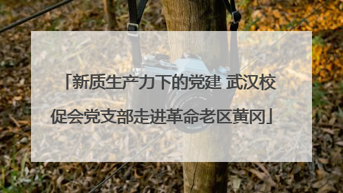 新质生产力下的党建 武汉校促会党支部走进革命老区黄冈
