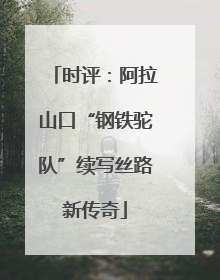 时评：阿拉山口“钢铁驼队”续写丝路新传奇