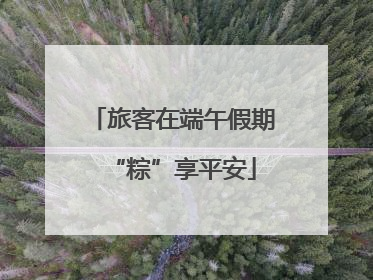 旅客在端午假期“粽”享平安