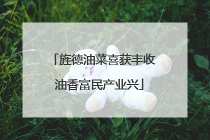 旌德油菜喜获丰收 油香富民产业兴