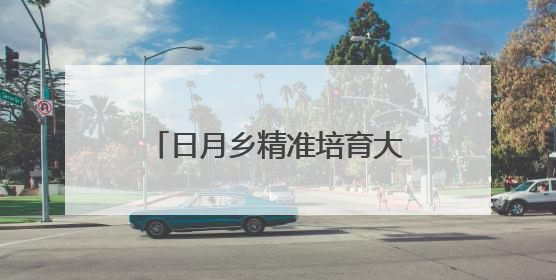 日月乡精准培育大学生村党支部书记