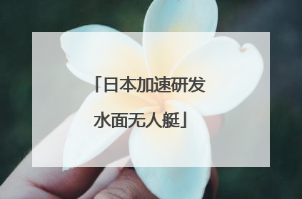 日本加速研发水面无人艇