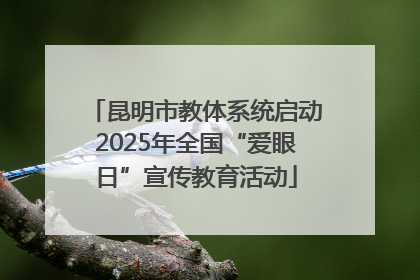昆明市教体系统启动2025年全国“爱眼日”宣传教育活动