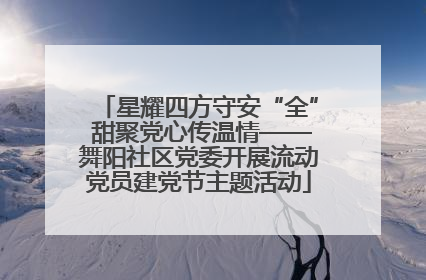 星耀四方守安“全” 甜聚党心传温情——舞阳社区党委开展流动党员建党节主题活动