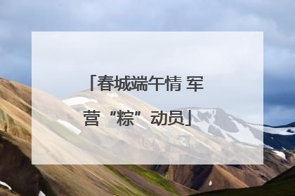 春城端午情 军营“粽”动员